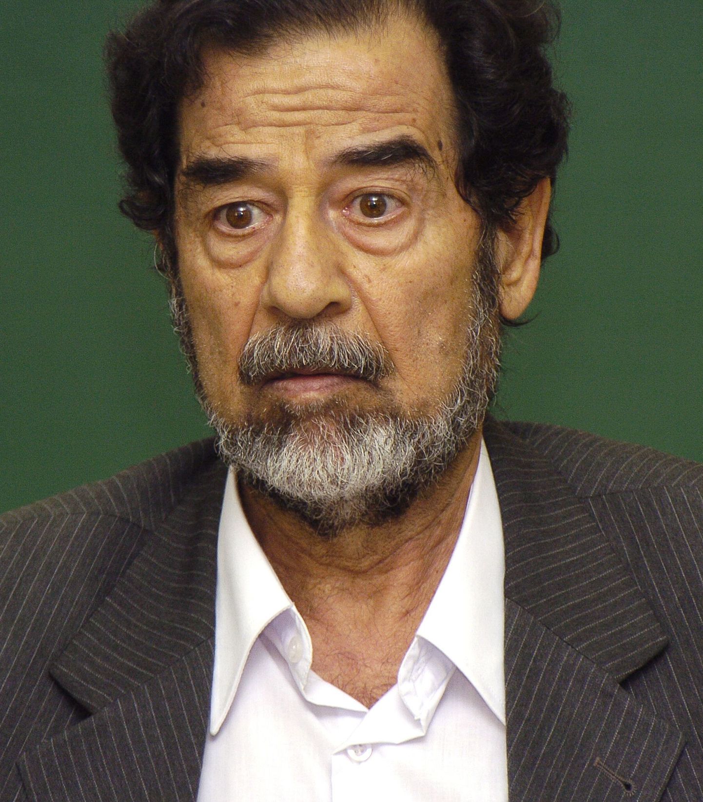 Saddam Husseini meenutav mees kaasati pornofilmi