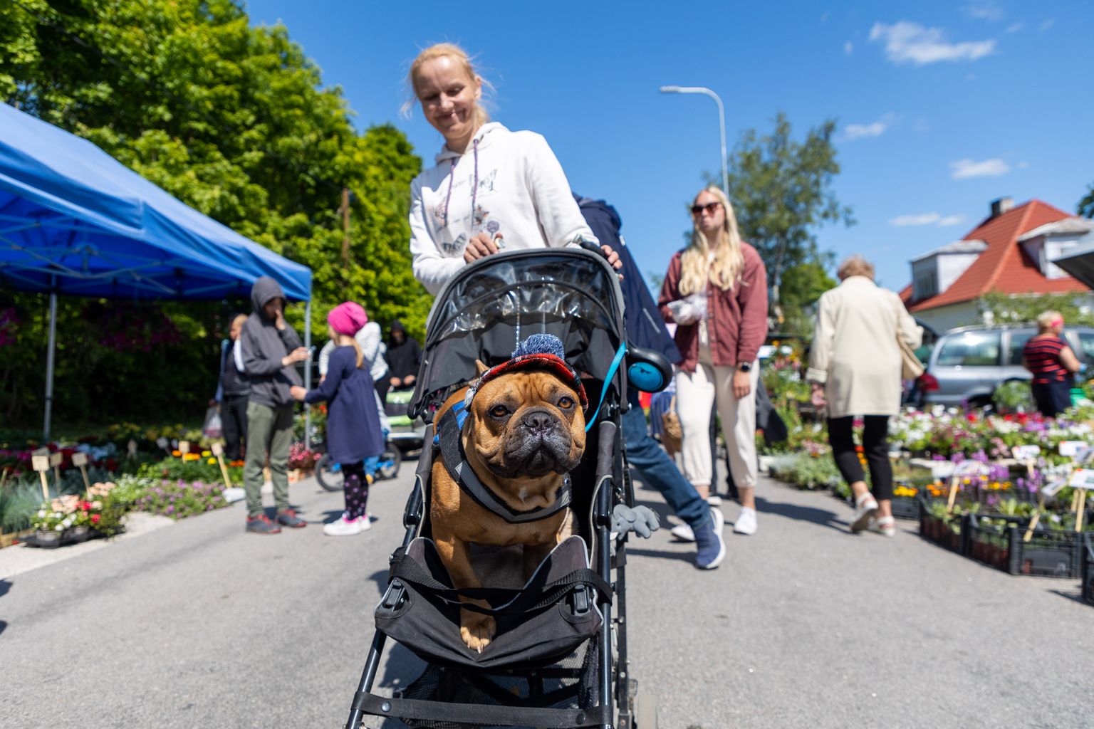 Järva-Jaani tänavafestival