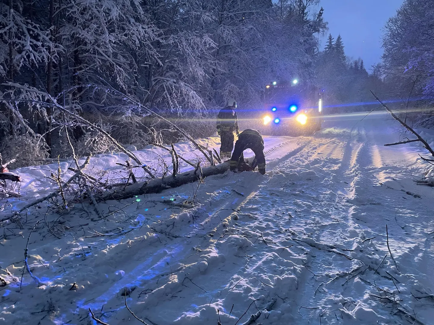 Päästjatel tuli tee sinna ootamatult kukkunud puust vabastada.