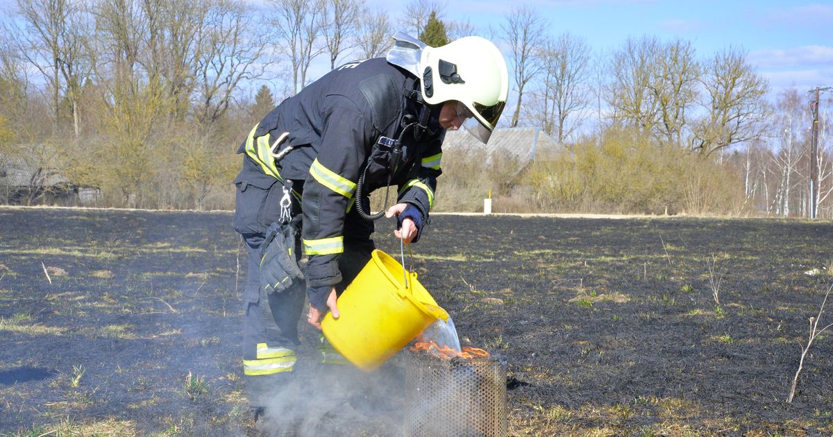 Paides linnas põles kulu