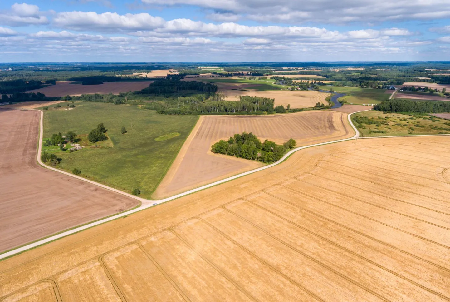 Eestimaa hilissuvi.