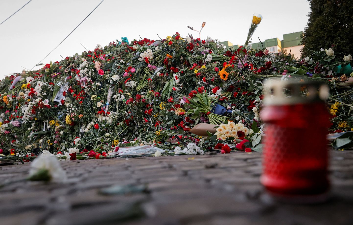 Цветы на могиле Алексея Навального