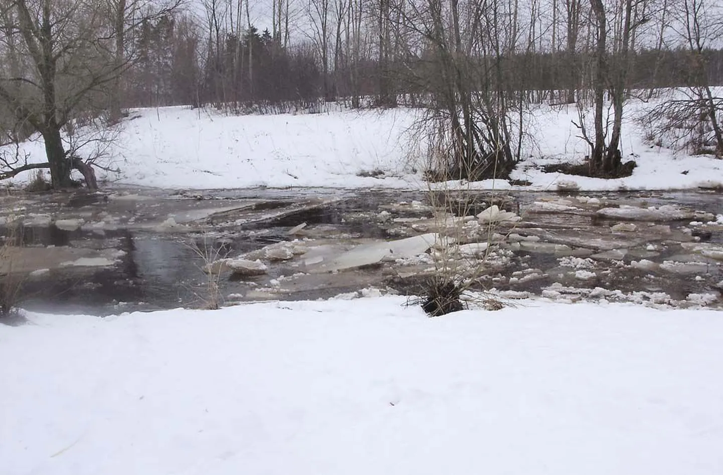 Jääminek Reiu jõel Ristikülas 28. märtsil.