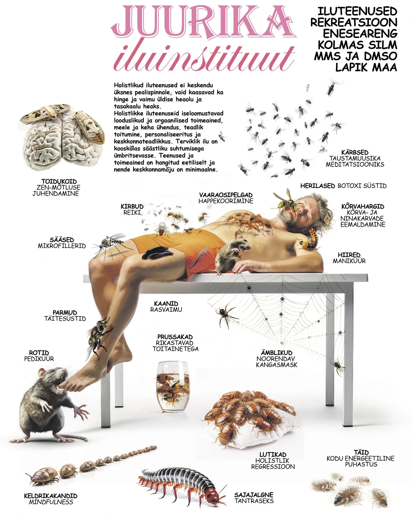 Iluinstituut.
