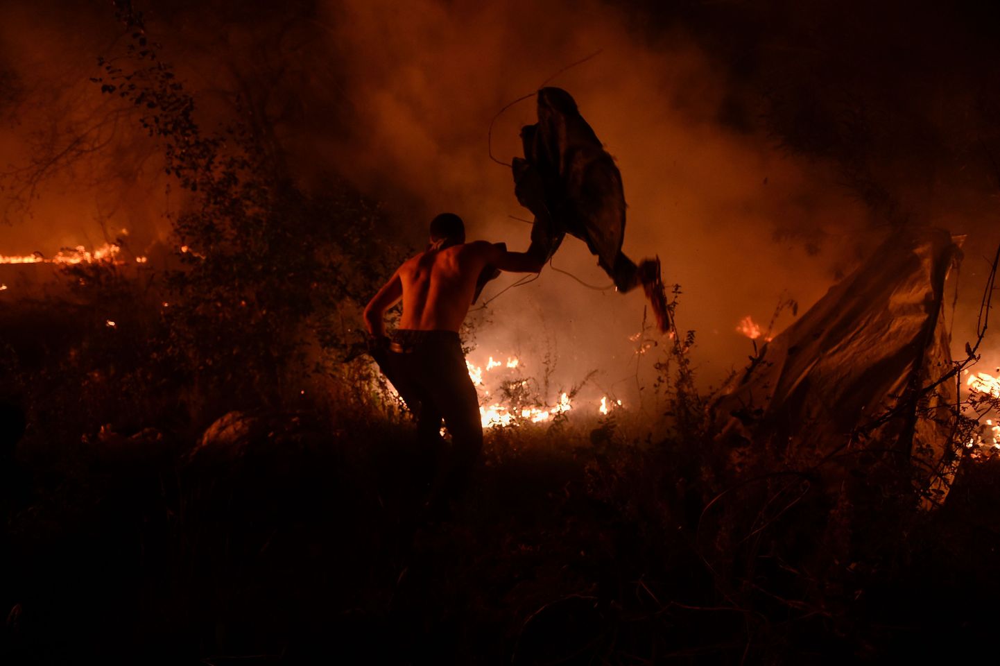 Sajad tuletõrjujad ja linnaelanikud võitlevad põlenguga Vigos.