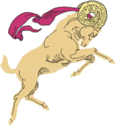 Jäär