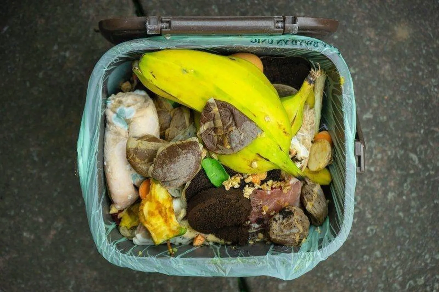 Чтобы извлечь пользу из сортировки биоотходов, их следует высыпать в контейнер целиком, а полиэтиленовый пакет выбрасывать в контейнер для бытовых отходов.