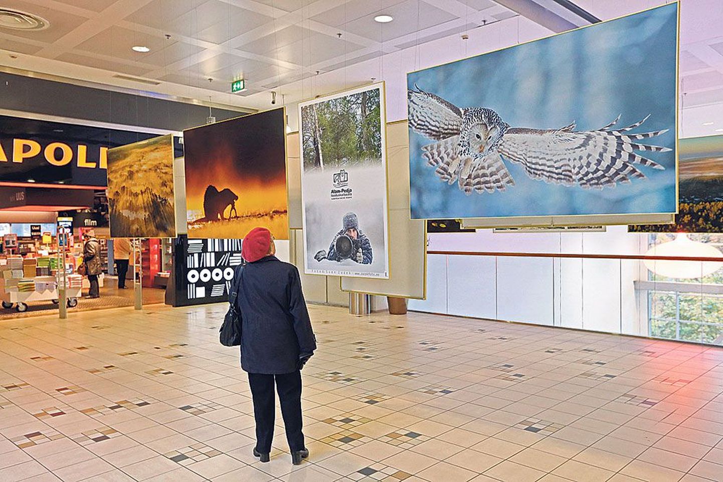Tartu kaubamaja kolmandal korrusel on üles seatud Alam-Pedja looduskaitseala 20. aastapäeva fotonäitus.