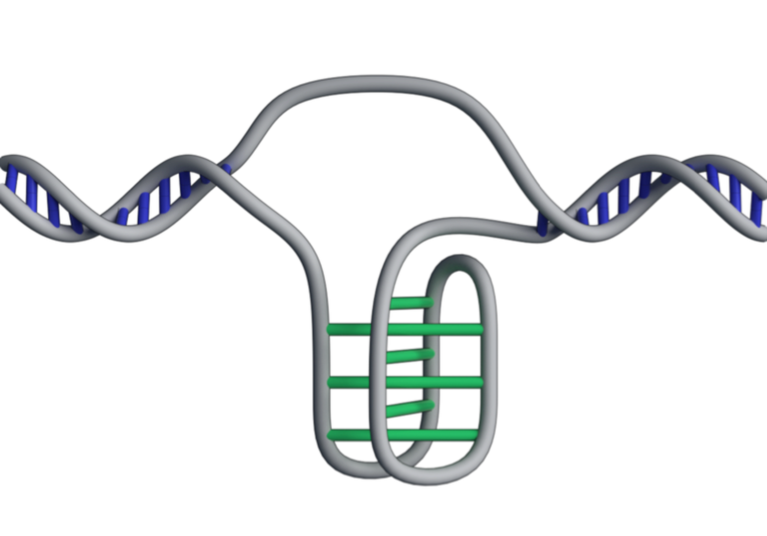 I-motiiv DNA kaksikheeliksis.