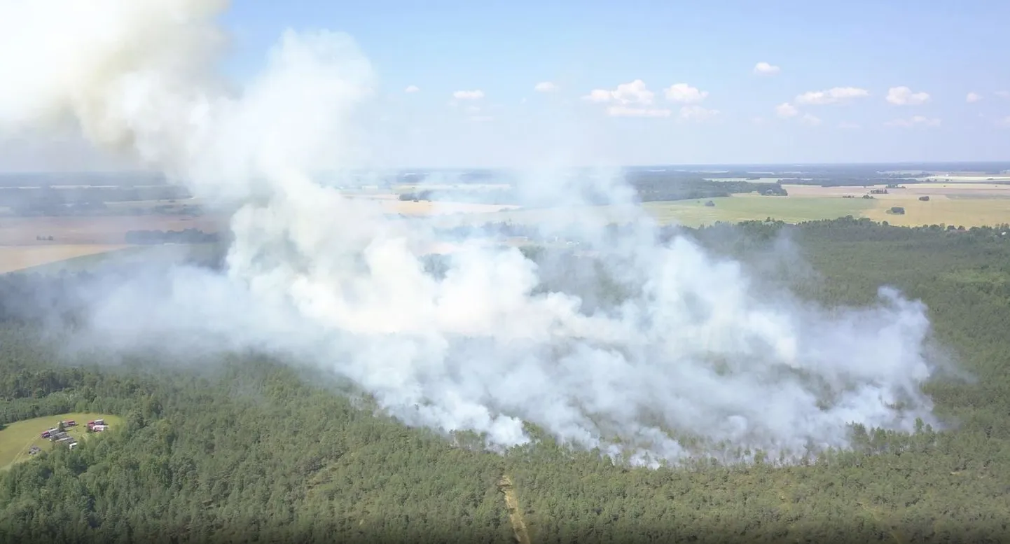 Möödunud nädalal Järvamaal aset leidnud metsapõleng.