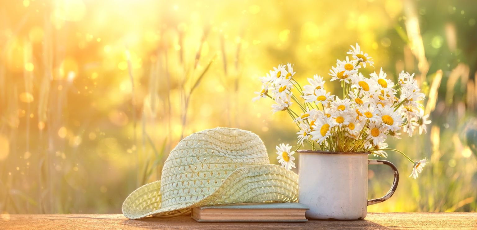 chamomile flowers in Cup, old book, braided hat in garden. Beautiful Rustic Summer landscape with daisy. copy space