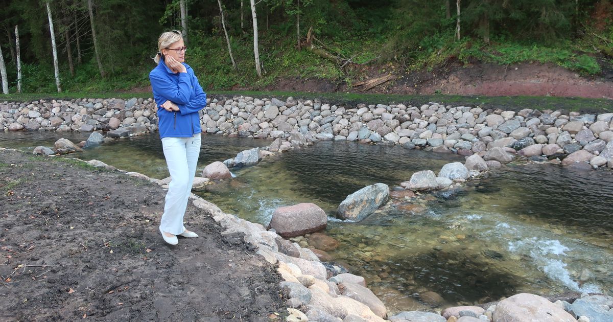 Kalapääs Tille veski juures avas kaladele rännutee Ahja jõel