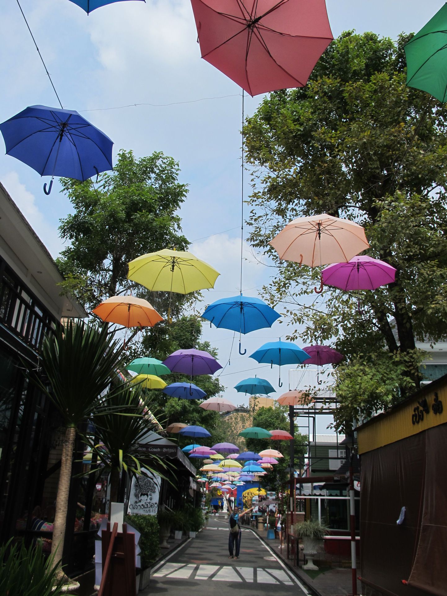 Chiang Mai: vihmavarjudega kirjatud tänav.
