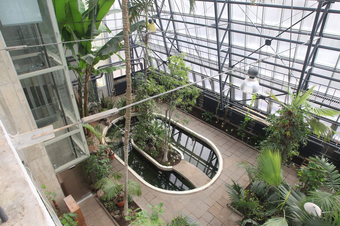 Tartu ülikooli loodusmuuseum ja botaanikaaed ootavad õpilasi õppeprogrammidesse.
