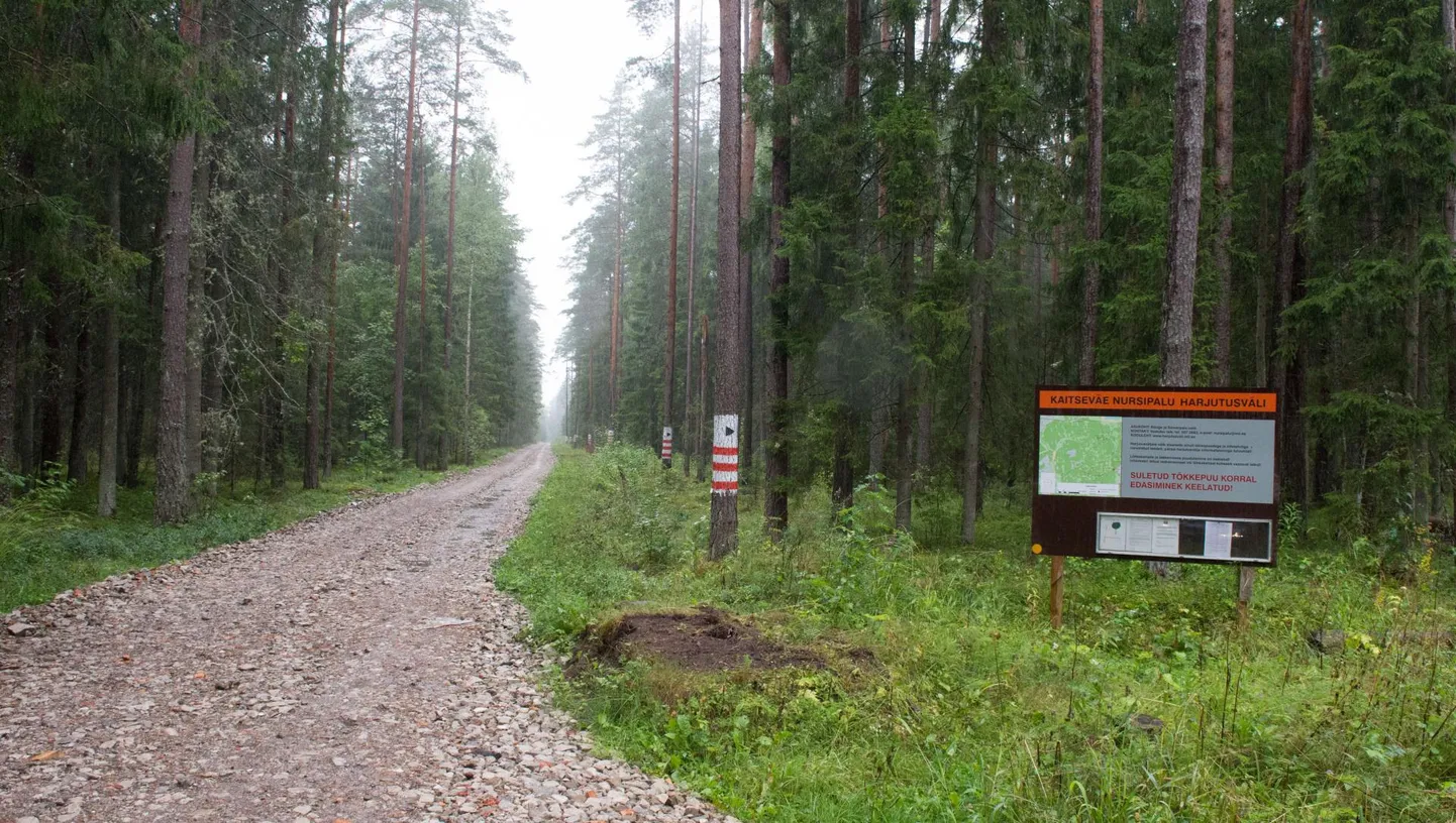 Nursipalu harjutusväli.