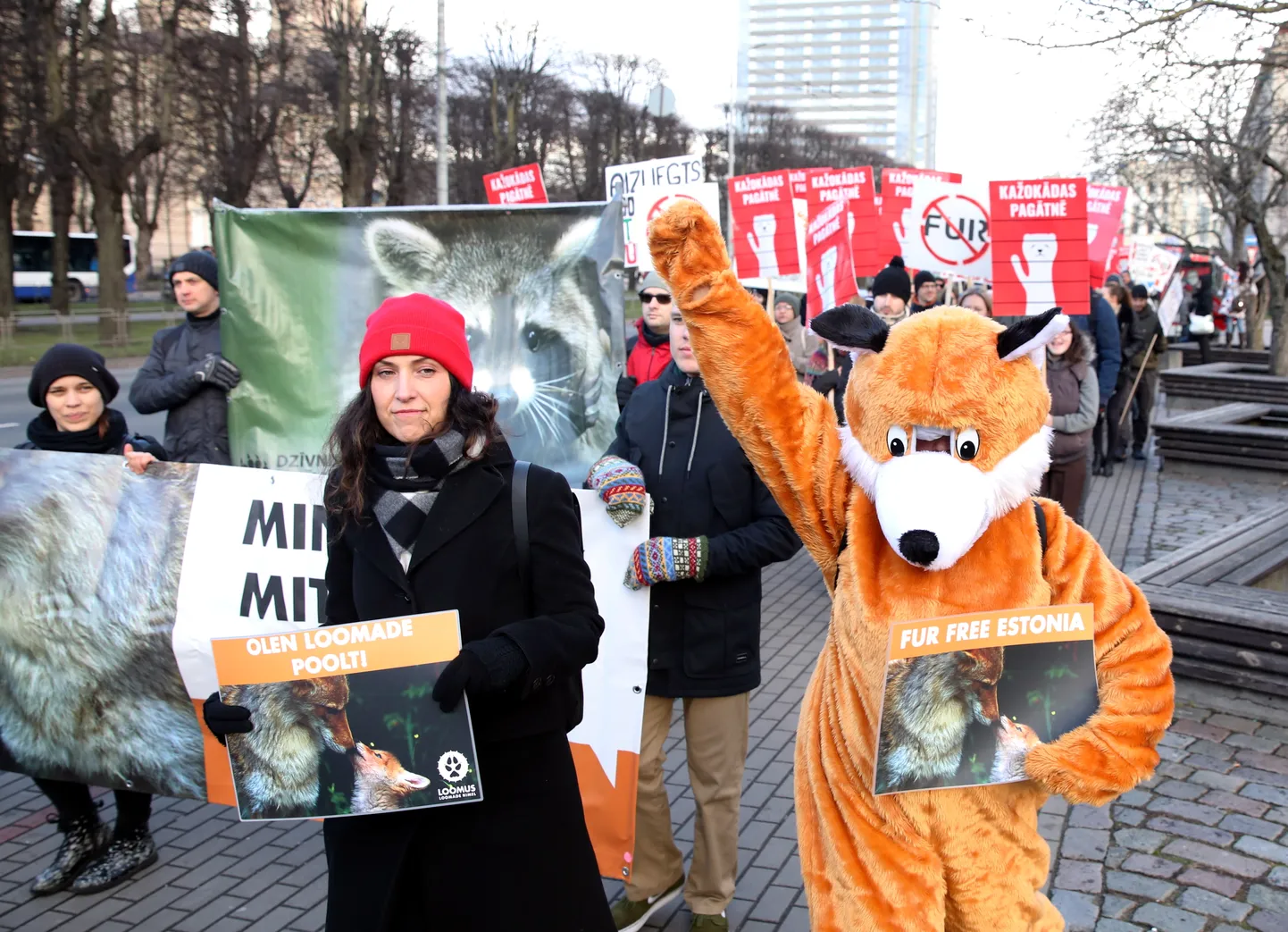 Notiek biedrības "Dzīvnieku brīvība" rīkots gājiens "Kažokādas pagātnē" dzīvnieku aizstāvēšanai no kažokādu industrijas.