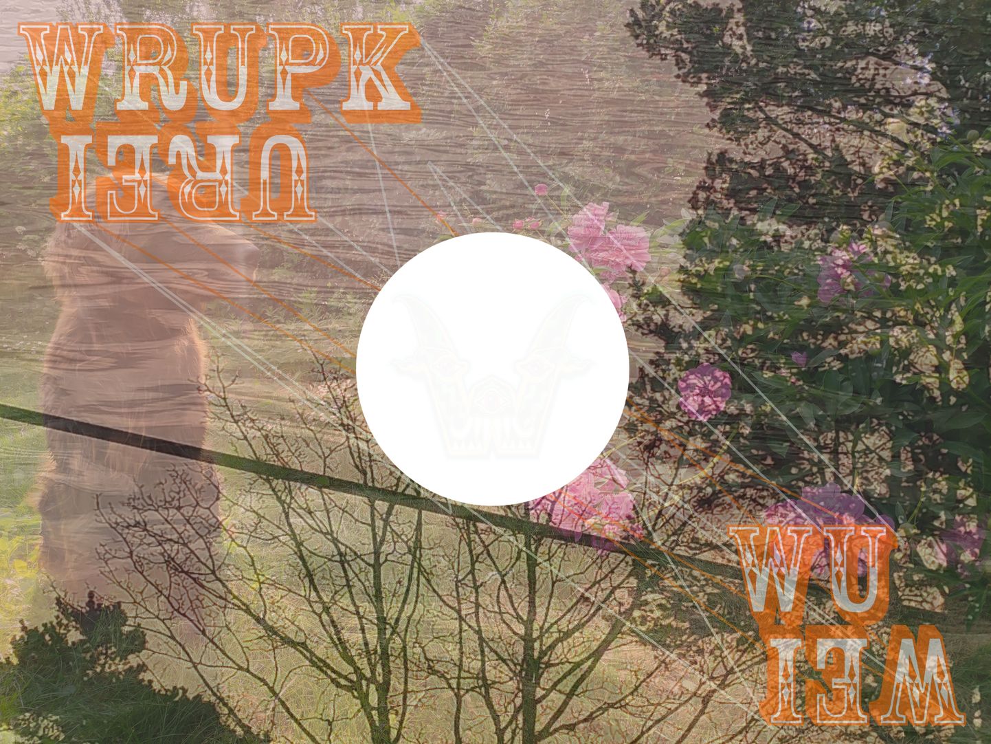 Wrupk Urei uue albumi plaadikaas