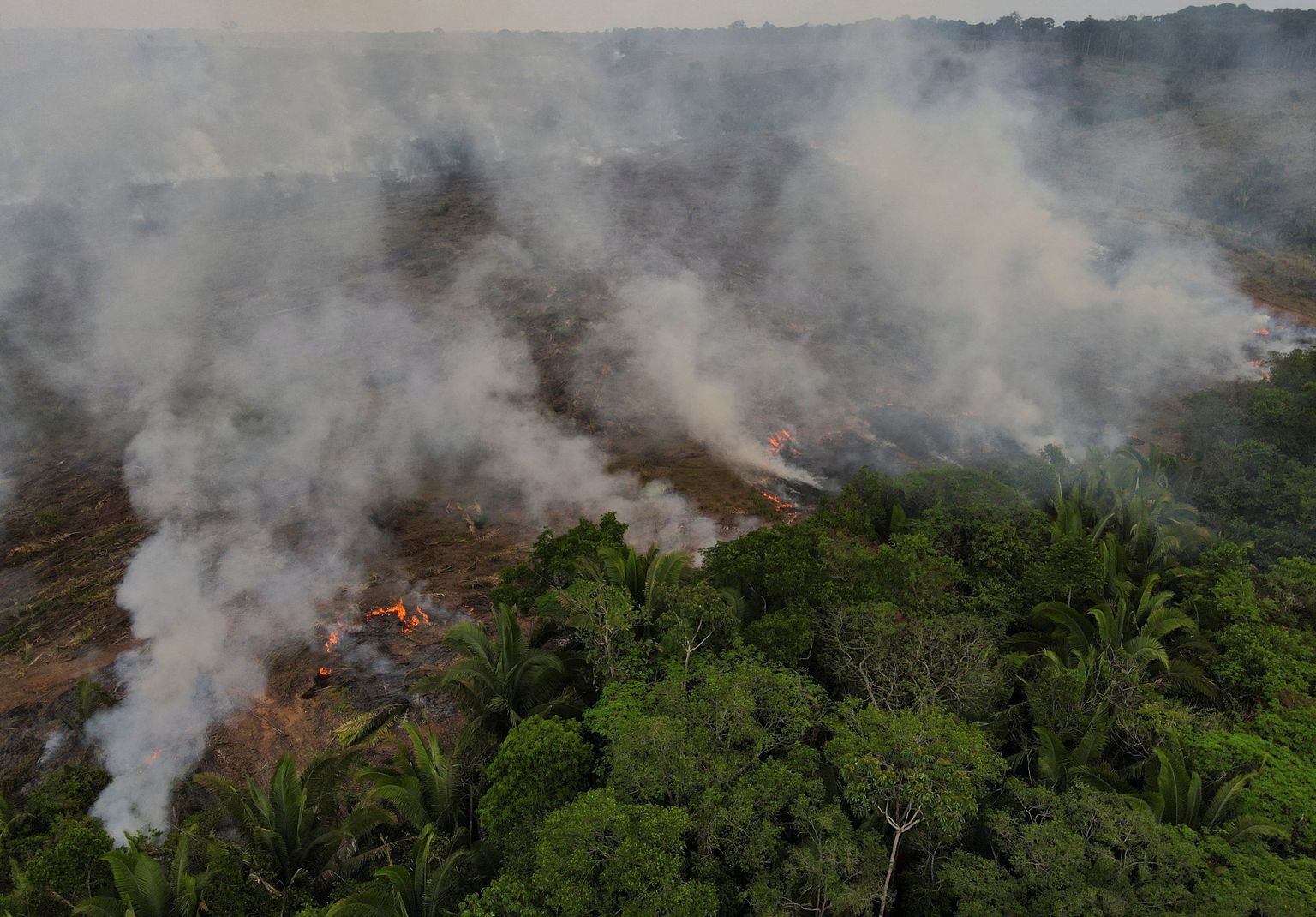 Põleng Brasiilia Amazonase vihmametsas.