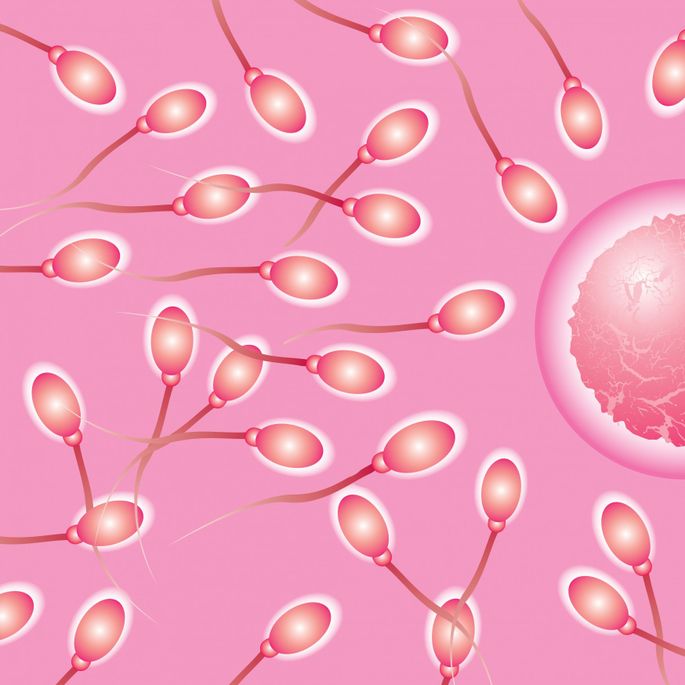 Вкус спермы: глотать или нет?