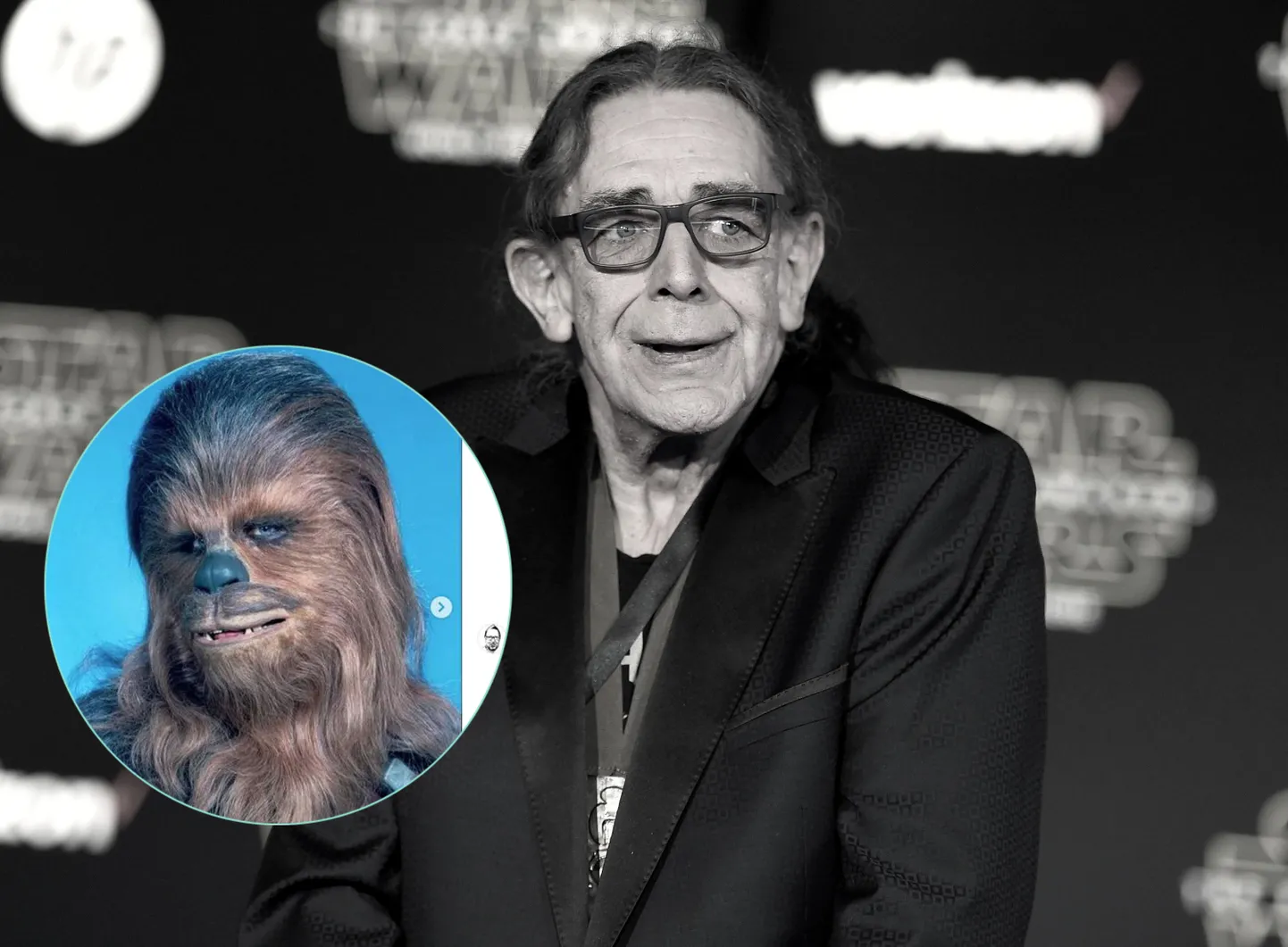 Питер Мейхью (Peter Mayhew)
