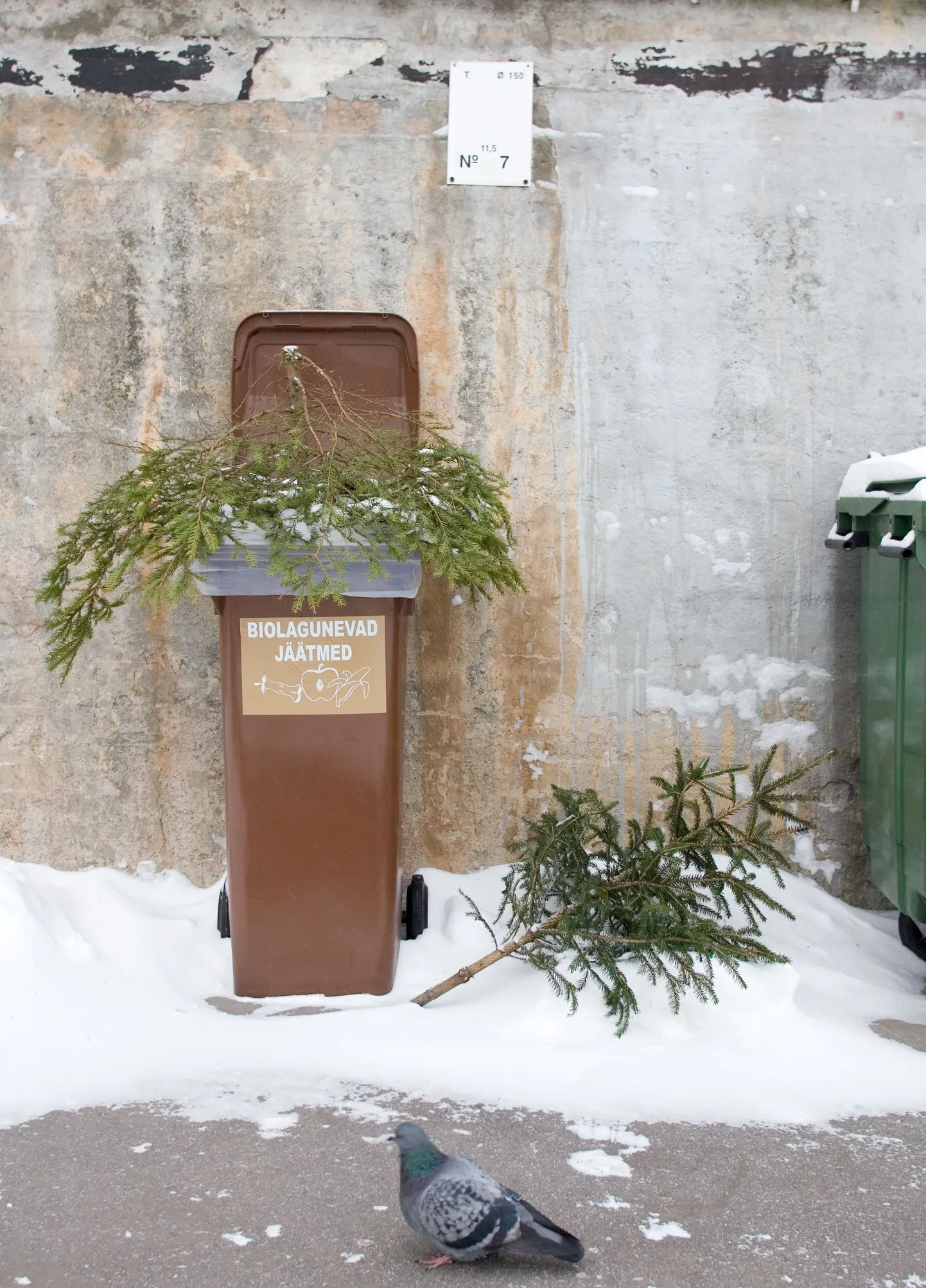 Jäätmete sorteerimine on paljude jaoks siini segane.