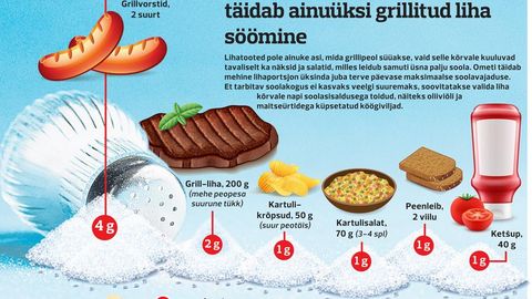 Soolasisaldus grillipeo toitudes FOTO: Graafika: Alari Paluots Soolasisaldus grillipeo toitudes FOTO: Graafika: Alari Paluots
