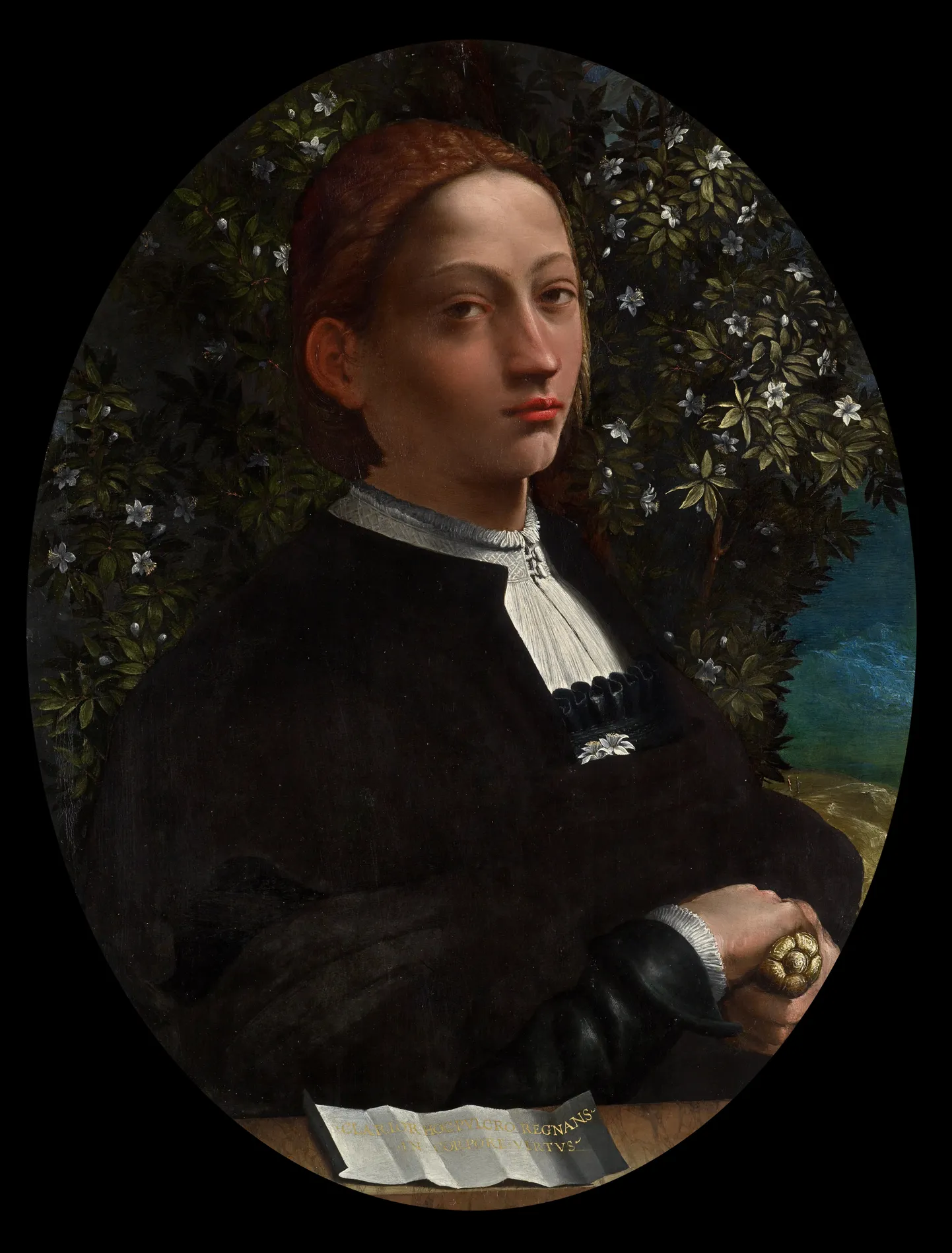 Lucrezia Borgia. (Dosso Dossi maal)