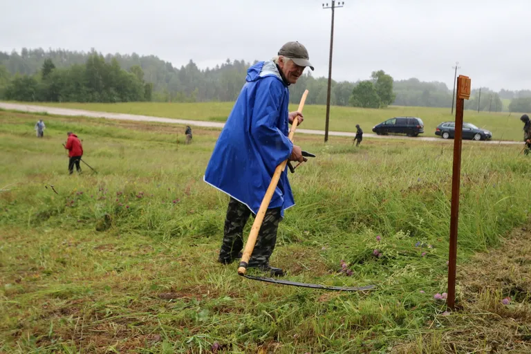 Hinnati kaarte sirgust, niitmise kõrgust, kaarte võrdsust, vastukaare alust ja üldist ilmet. Aeg arvesse ei läinud.