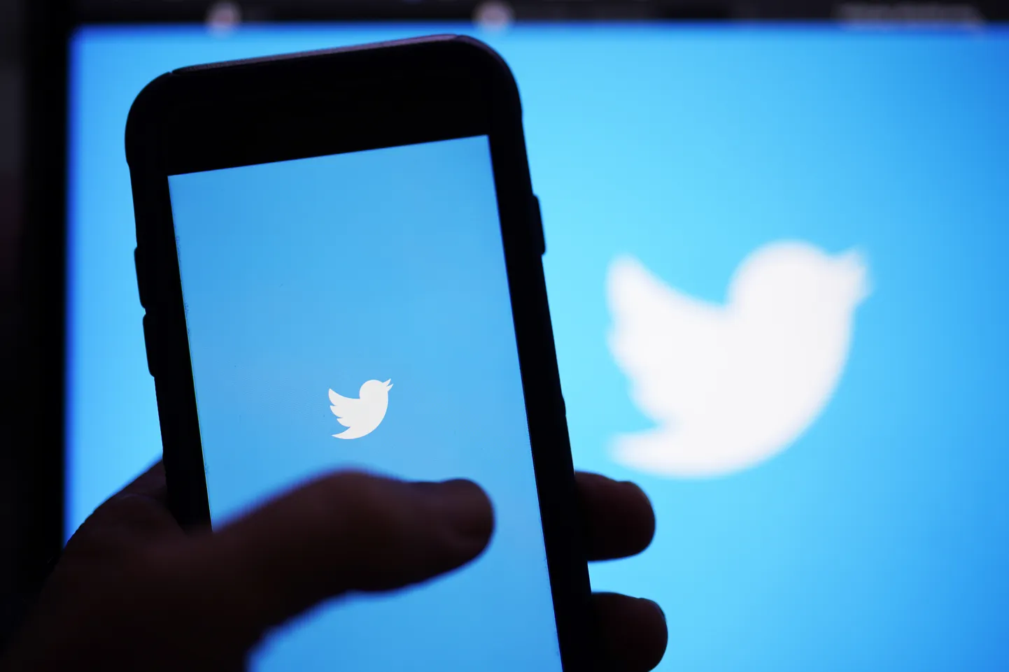 Twitteri logo mobiilirakenduses.