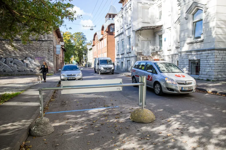 Artikli foto