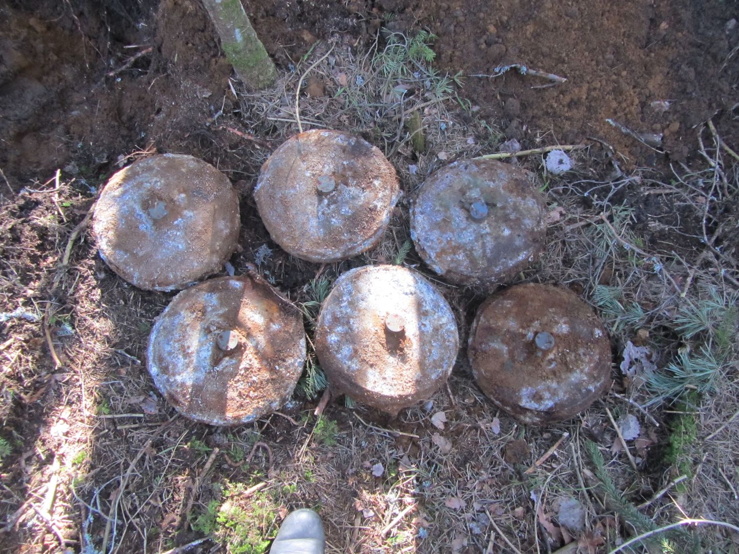 Kaisma küla lähedalt metsast leitud tankitõrjemiinid.
