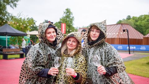 GALERII ⟩ Vaata, kes osalevad meeleolukal Mulliga & Mullita festivalil Maarjamäe lossihoovis