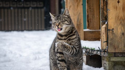 Понедельник ожидается солнечным