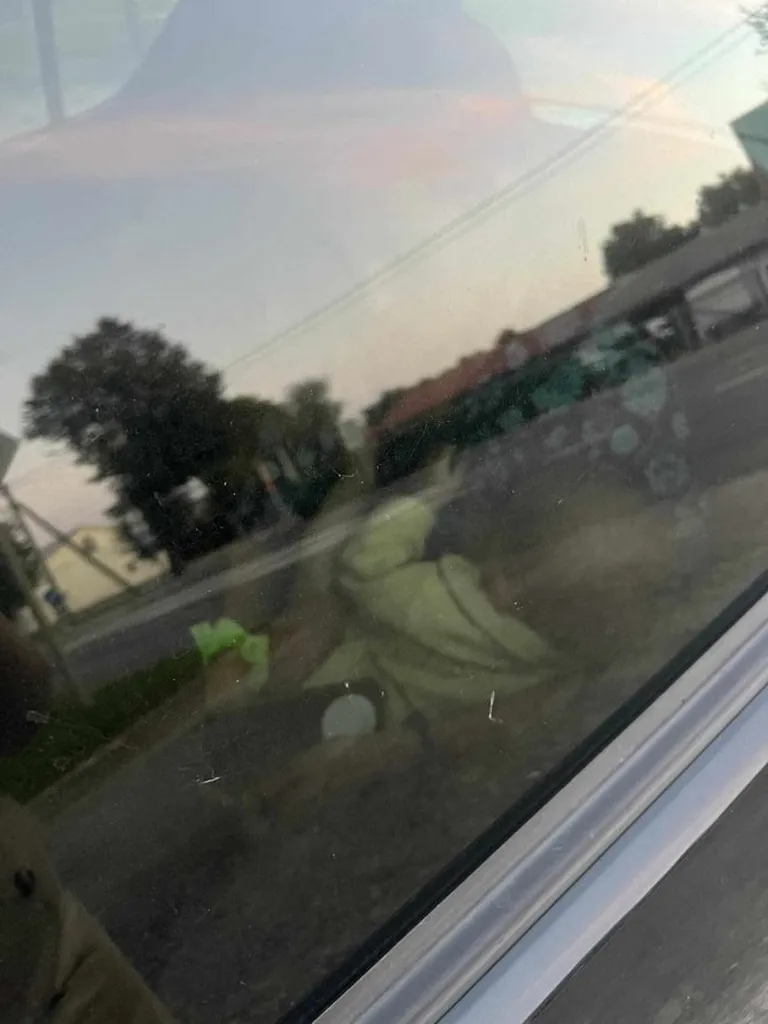 Raksta foto