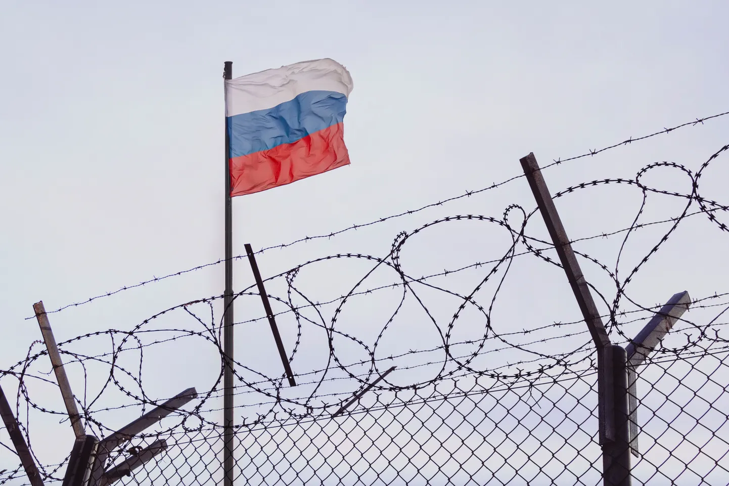 Флаг России и колючая проволока