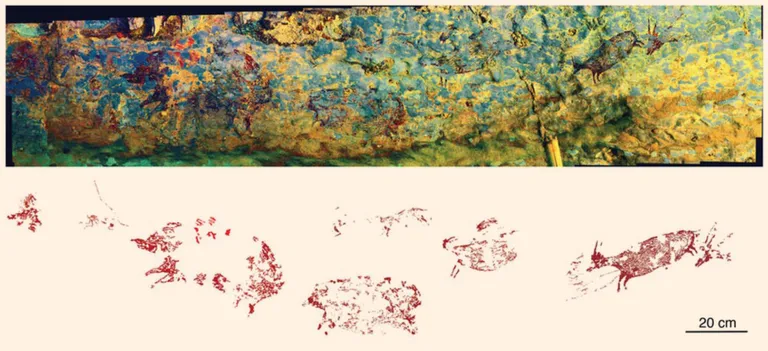 Leang Bulu Sipong 4 koopast leitud joonistus, mida peeti 43 900 aasta vanuseks.