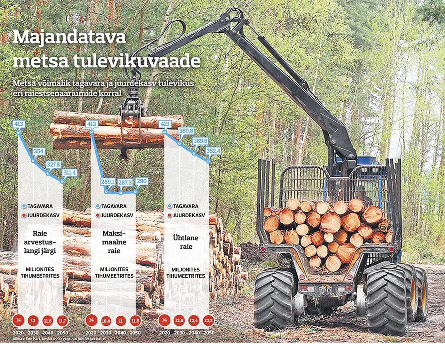 Metsaraie Eestis