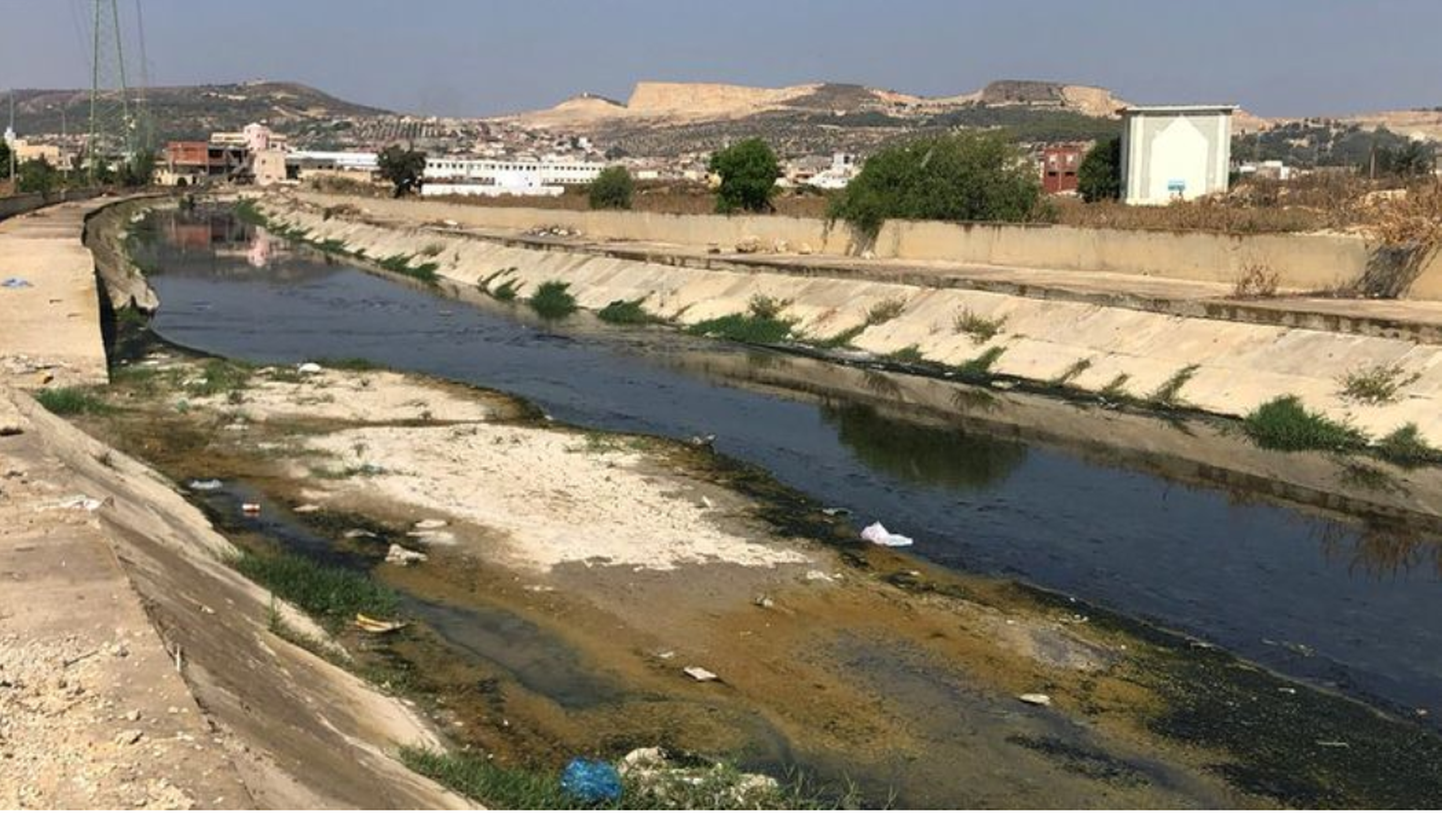 Голубая река в Тунисе оказалась одной из самых загрязненных в мире продуктами фармацевтики.