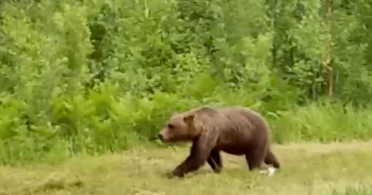 Karujahilimiidid selguvad uuel nädalal