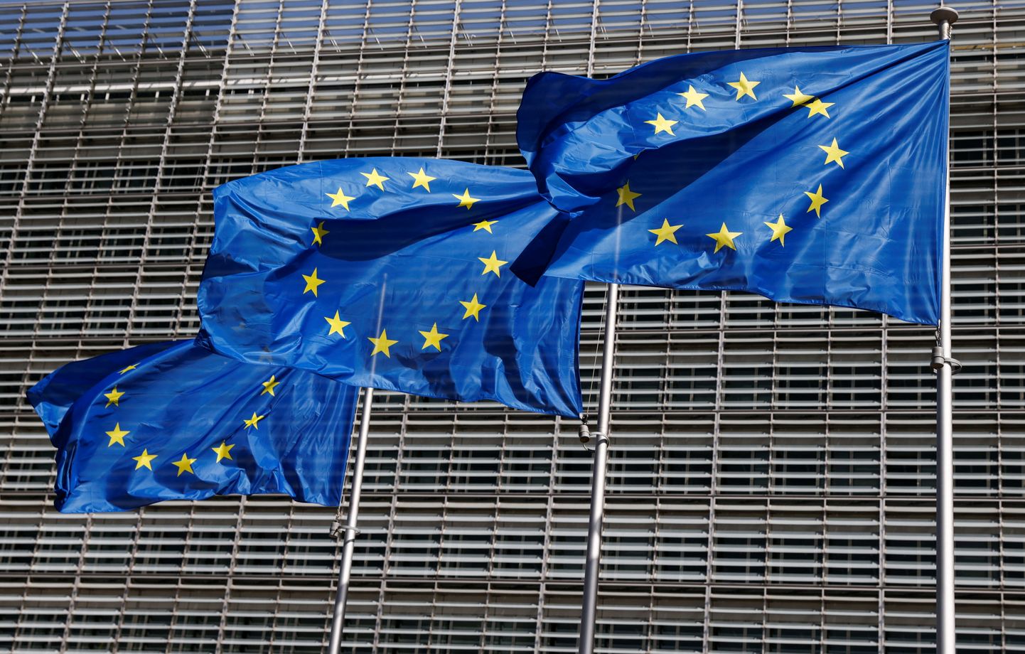 Euroopa Liidu lipud lehvimas.