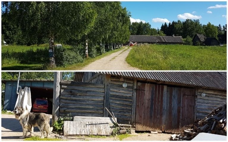 Дом Романова возле эстонско-российской границы 