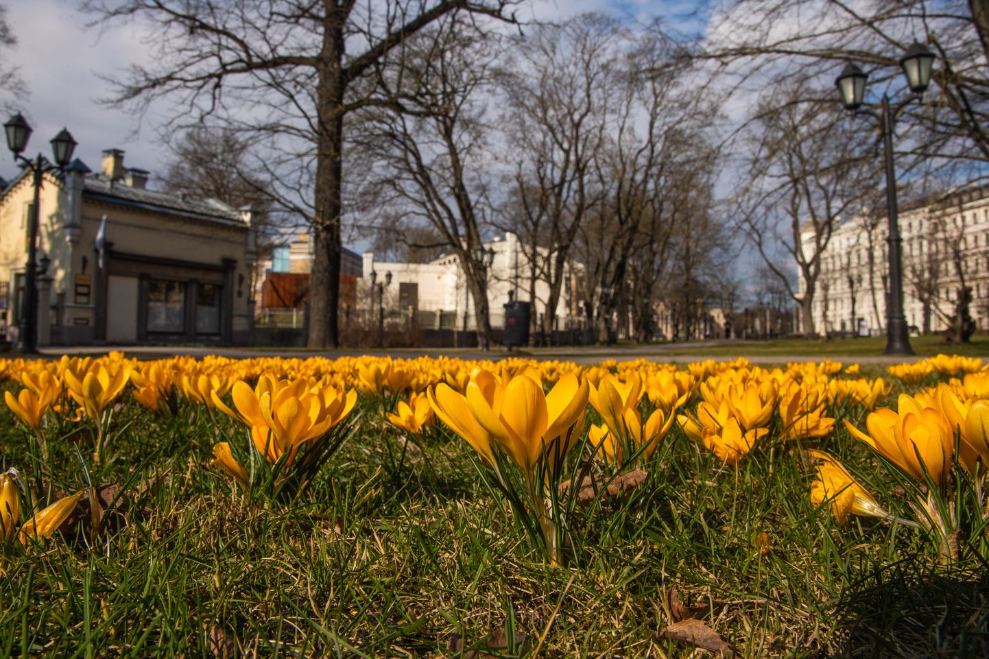 Foto: Pavasaris galvaspilsētas parkos
