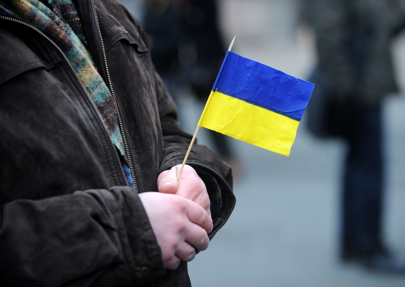 Украинский флажок в руках участника акции в поддержку Украины 15 февраля