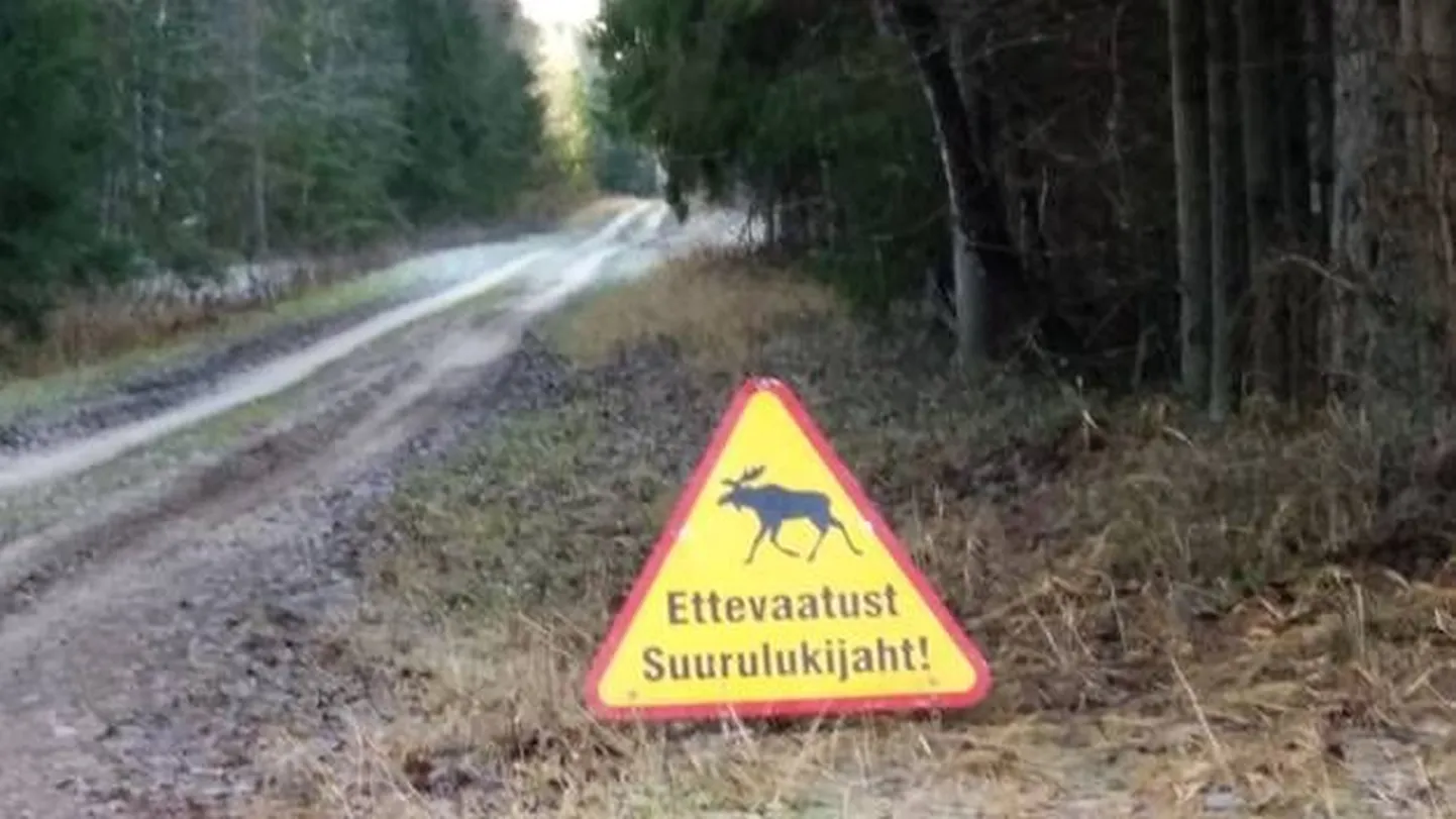 1. oktoobril algab uluksõraliste ajujahihooaeg.