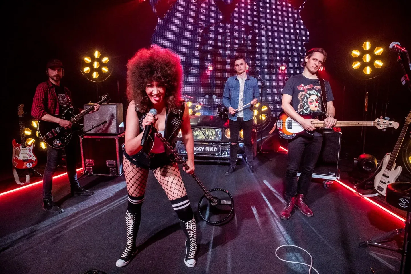 Ziggy Wild FOTO: Sander Ilvest