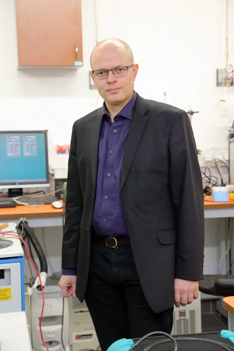 Professor Ülo Niinemets