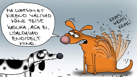 JUHTKIRI ⟩ Punane kaart oravatele