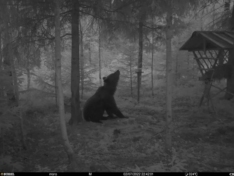 Võidufoto - Karla Kasari rajakaamera. Lahavere külas Jõgevamaal.