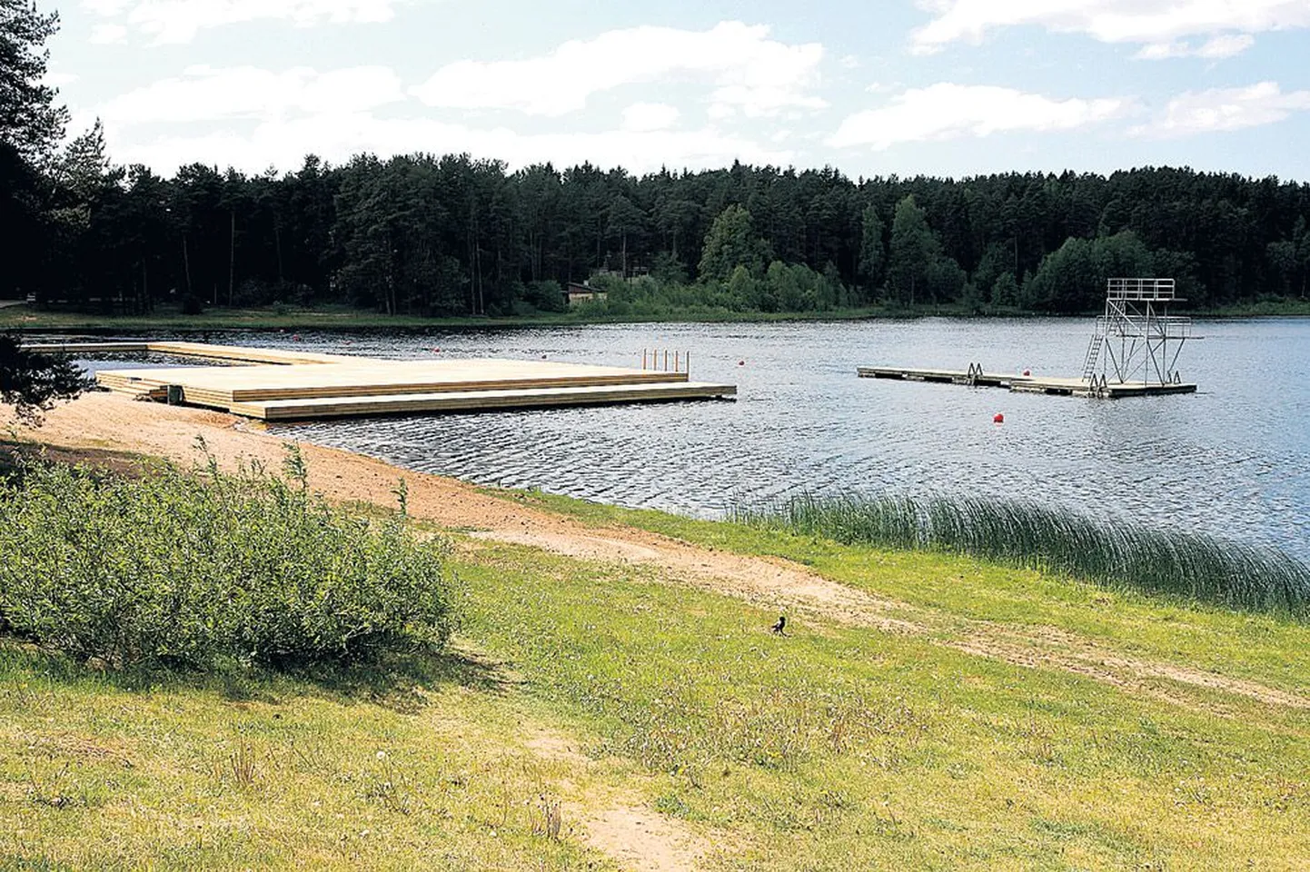 Elvas Verevi järve ääres on sel rannahooajal täiesti uus ujumisplatvorm.