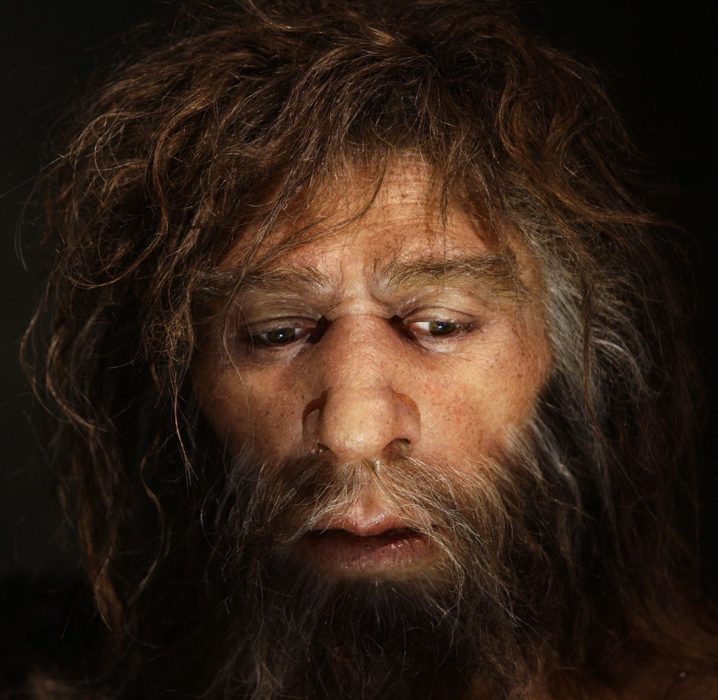 Neandertallase näo rekonstruktsioon.